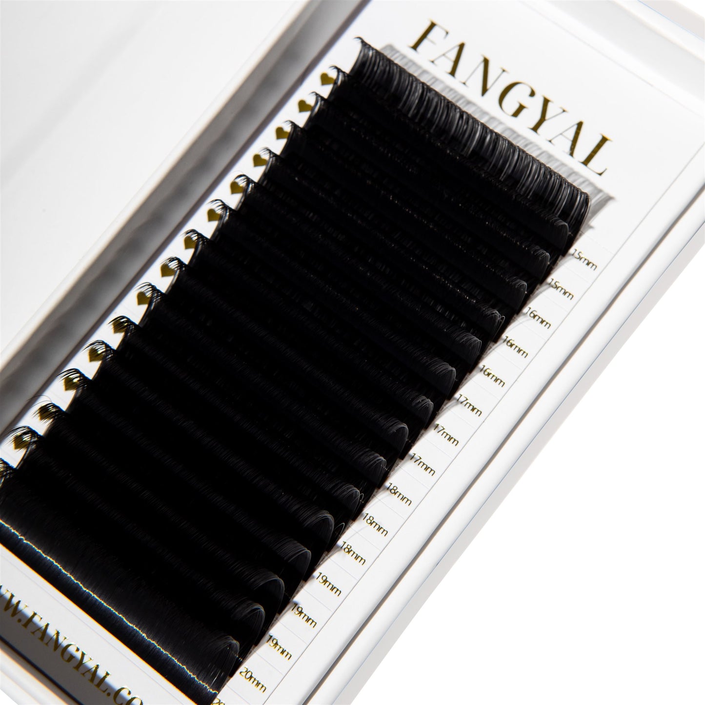 LD Curl | Mixed Trays