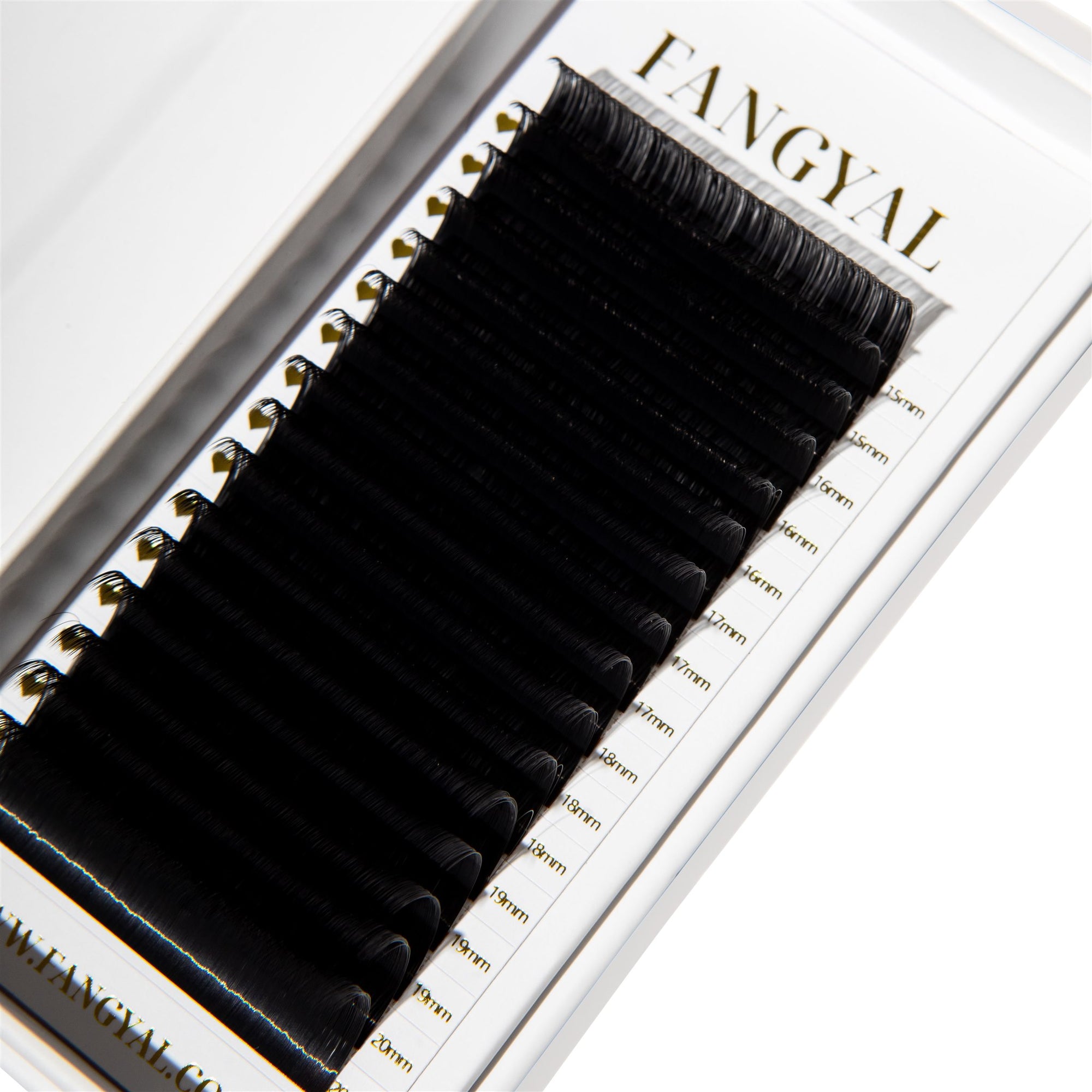 LD Curl | Mixed Trays